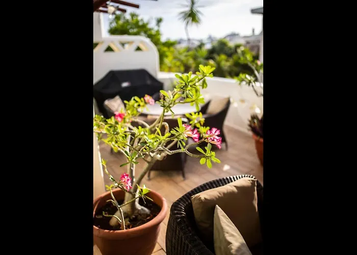 Penthouse Private Jacuzzi Bbq Family Friendly Maid Service * Playa del Carmen
